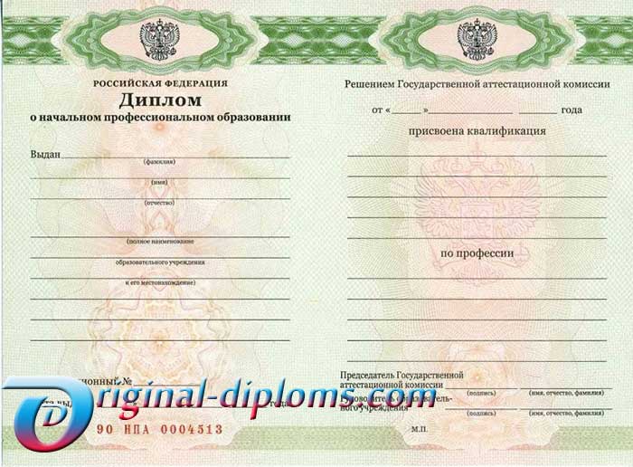 Диплом училища, лицея 2010-2027 год