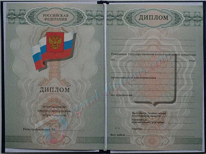 Диплом училища, лицея 2007-2009